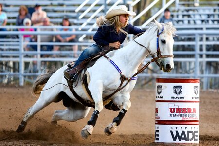 Western animal co