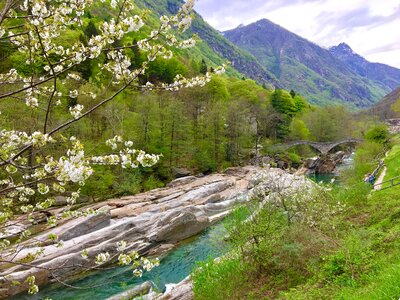 Mountain river valle verzasca