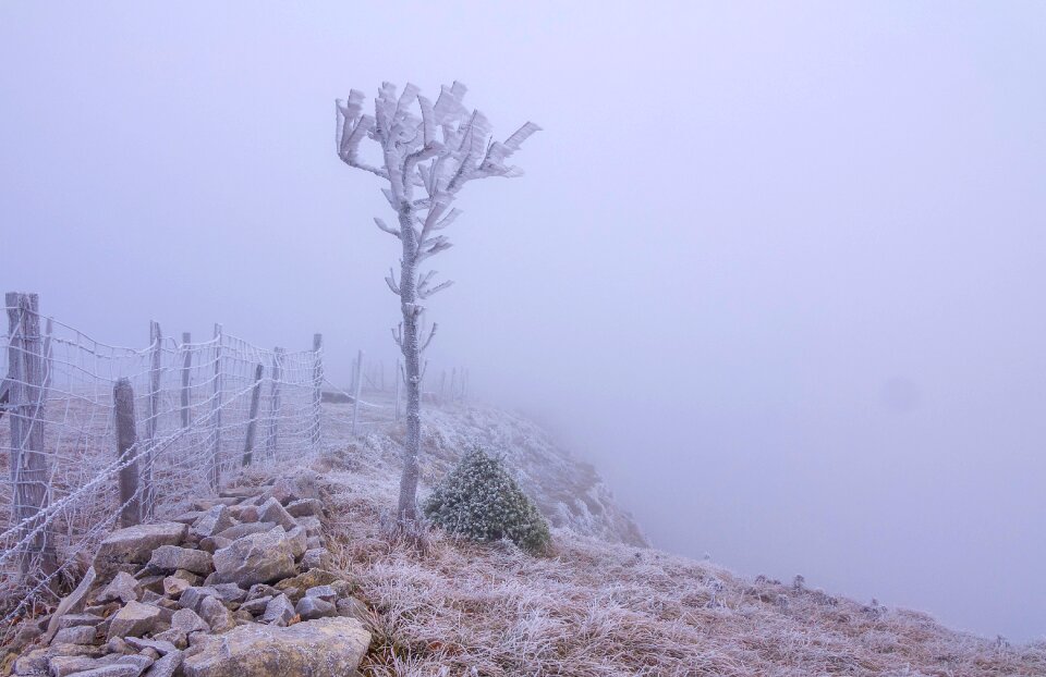 Hoarfrost cold frozen