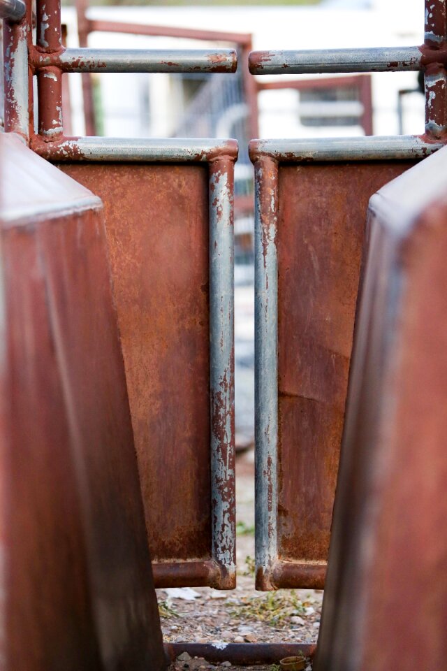 Old door texture