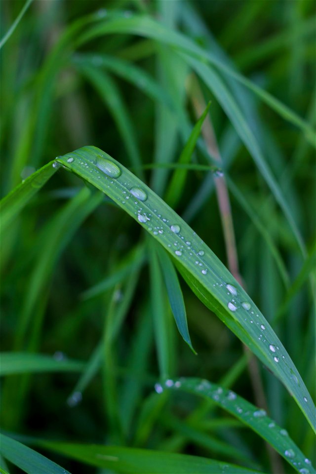 Water Waterdrops photo