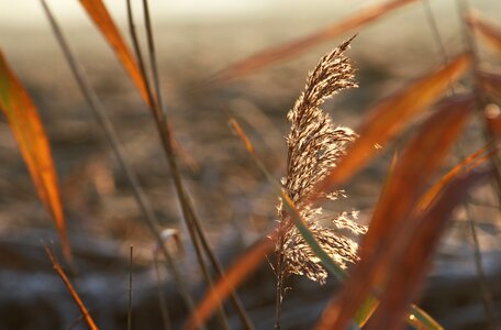 Winter nature landscape