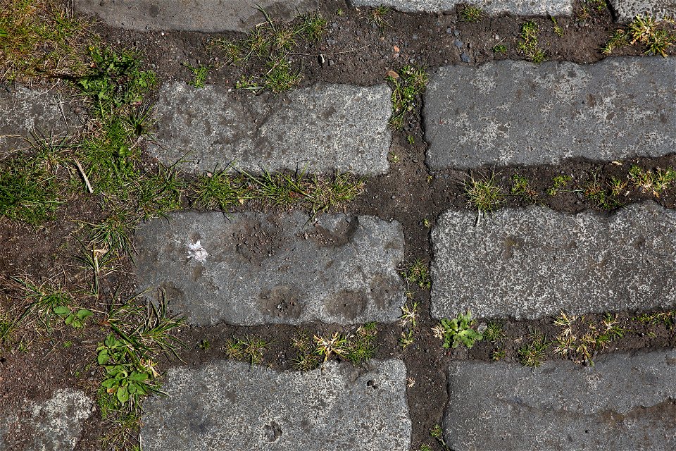 Road Stone photo