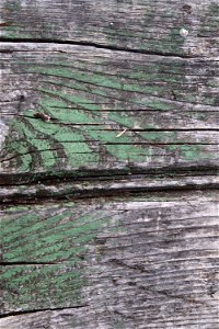 Wood Planks Old