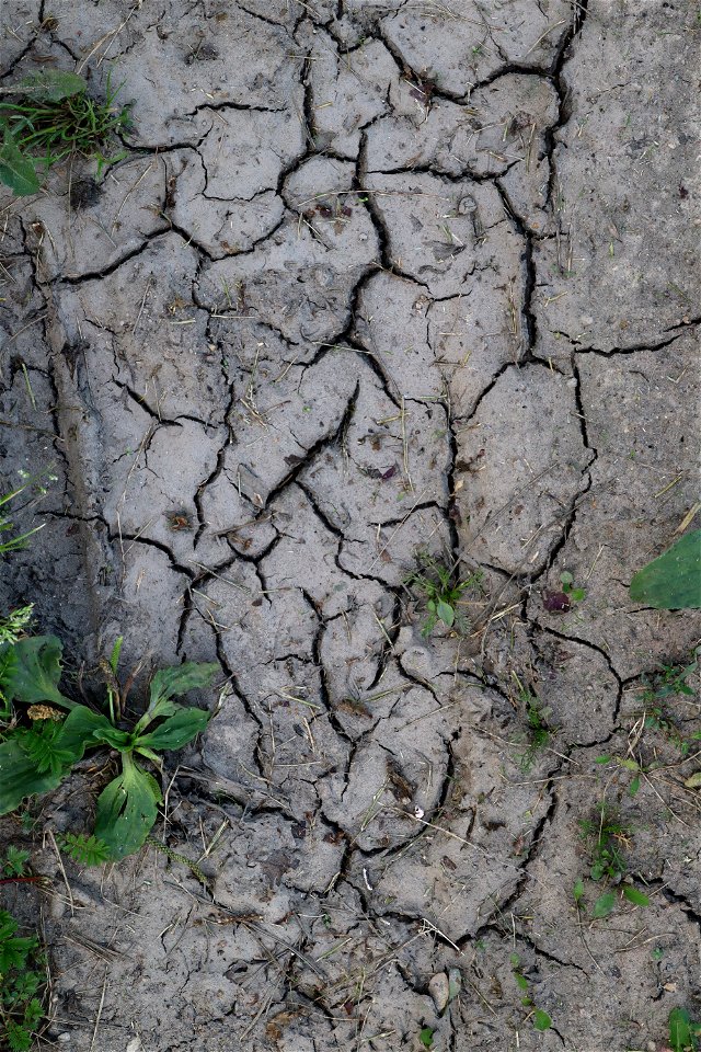 Soil Cracked photo