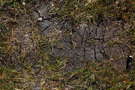 Soil Cracked photo