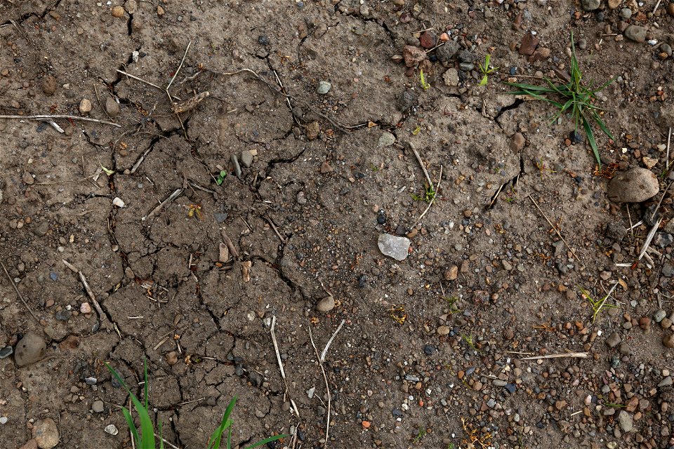 Soil Cracked photo