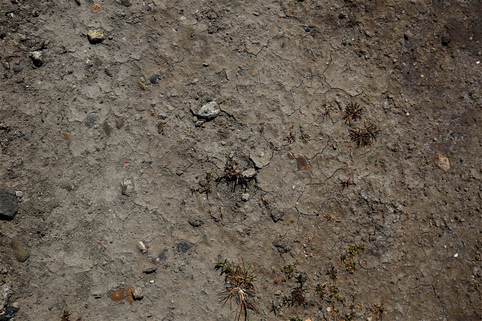 Soil Cracked
