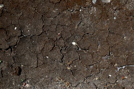 Soil Cracked