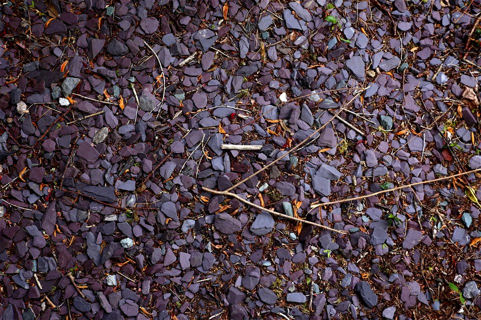 Soil Gravel