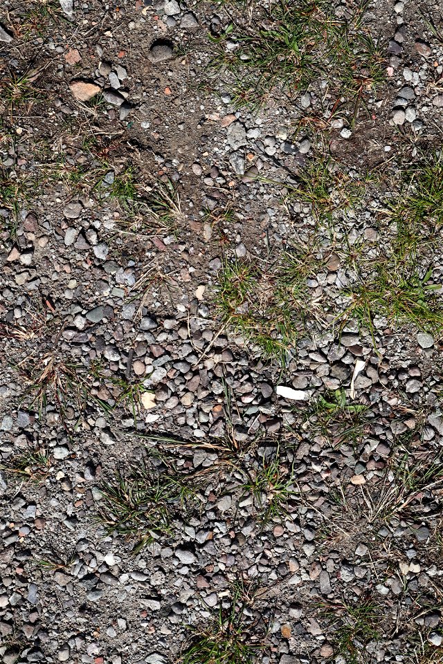 Soil Gravel