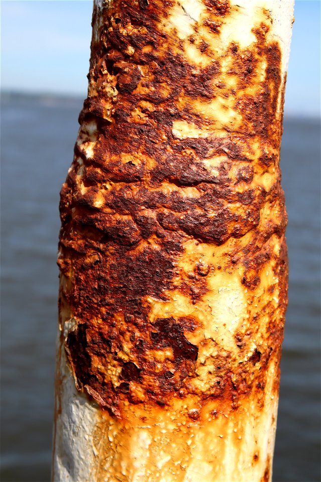 Rust Completely
