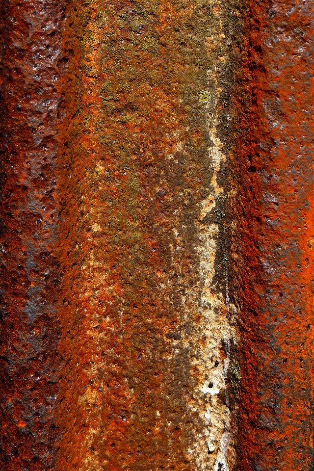 Rust Completely photo