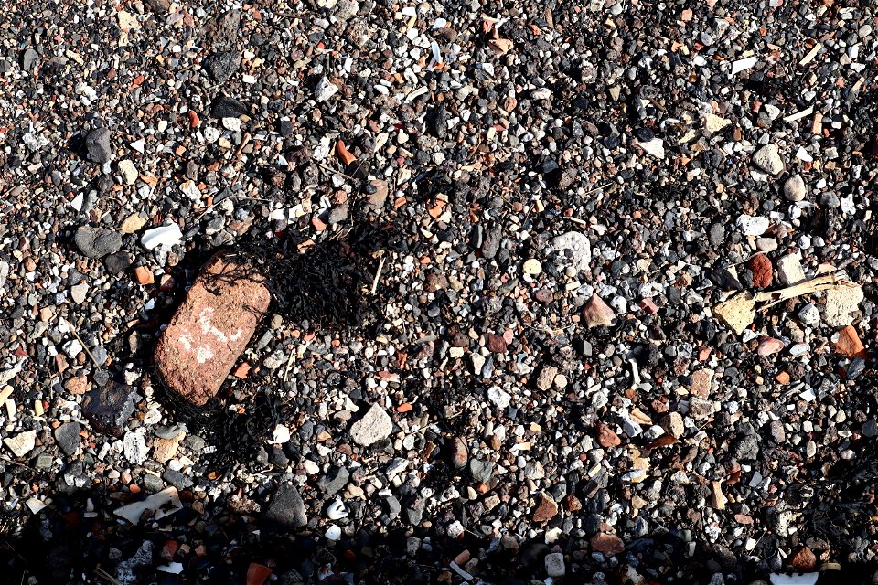 Debris Seaside photo