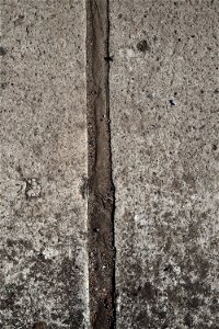 Concrete Floor photo