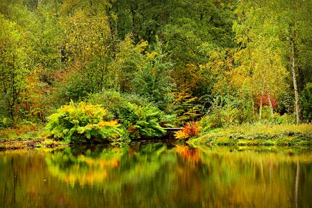 Vegetation reflection banks
