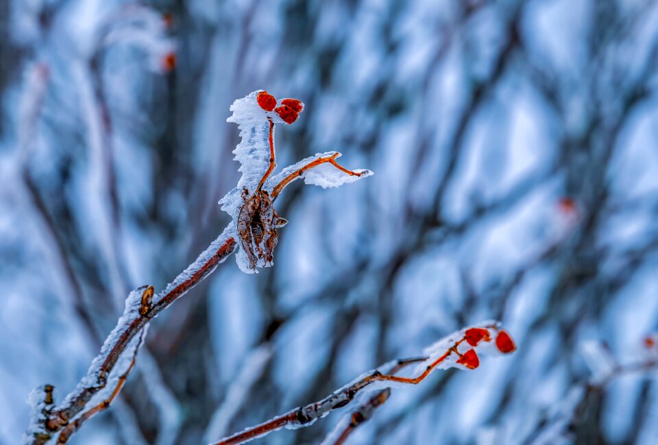 Cold ice crystals