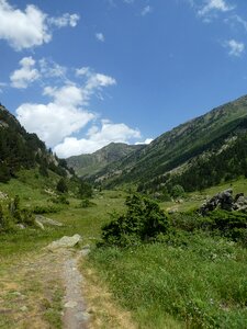 Trees mountain andorra