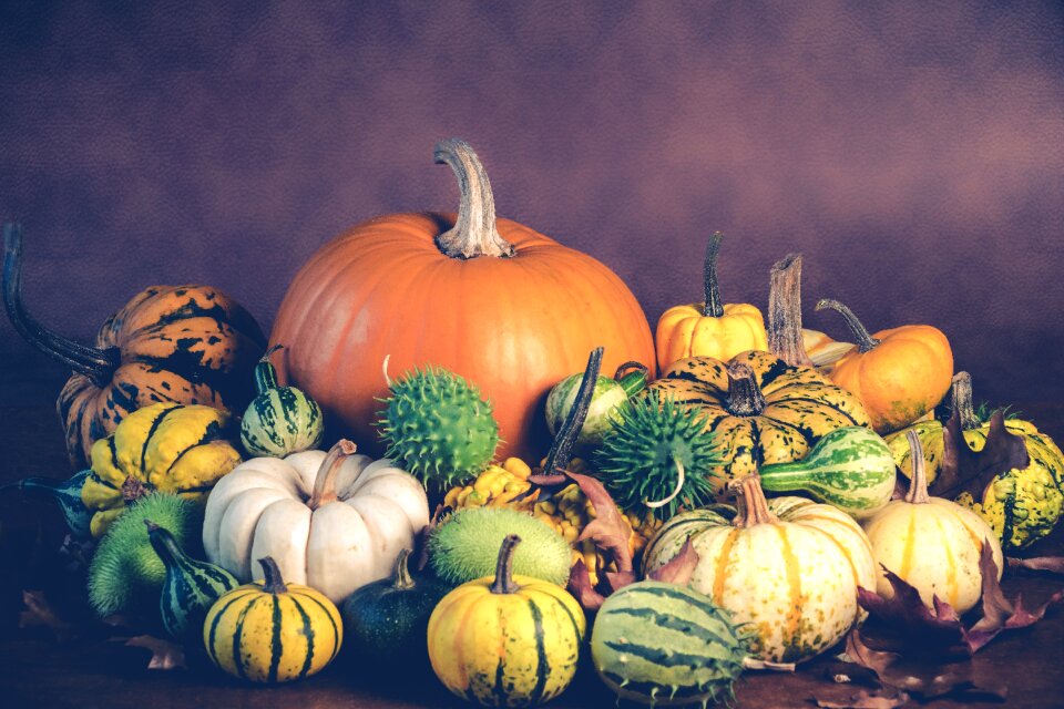 Autumn october holiday