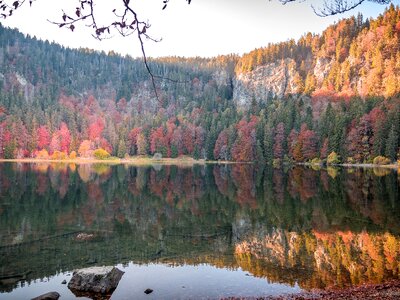 Feldberg water nature photo