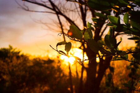 Sky landscape nature photo