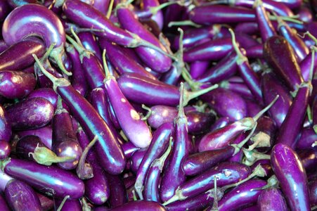 Bhutan organic eggplant photo