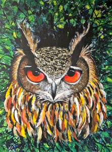 Feather animal animal world