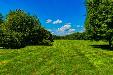 Blue sky grass green sky photo