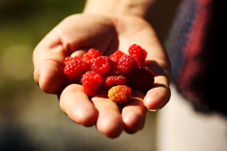 Berry summer fruit