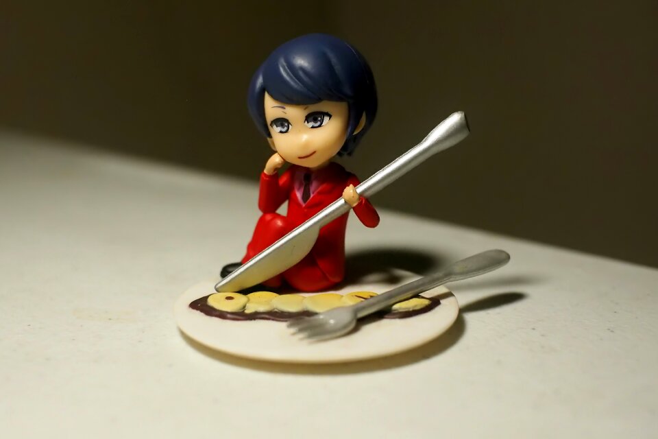 Person dish japanese