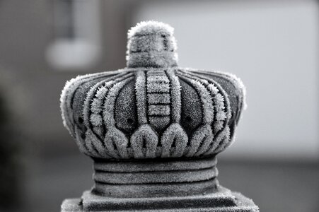 Hoarfrost frost frozen