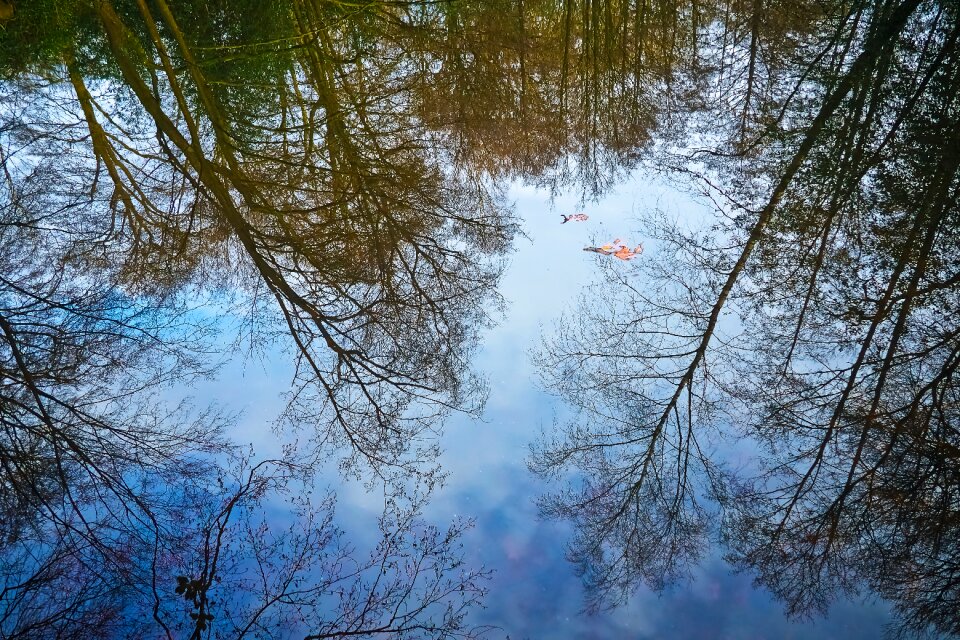 Mirroring mood rest