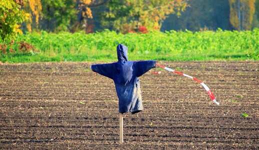 Bird control deception coat