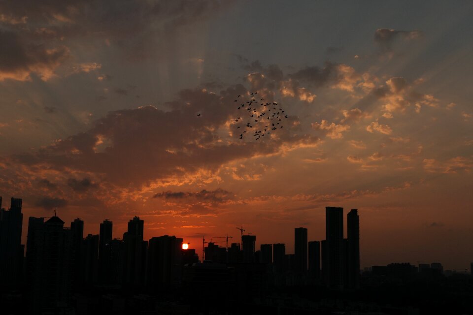 Life shenzhen sunset photo