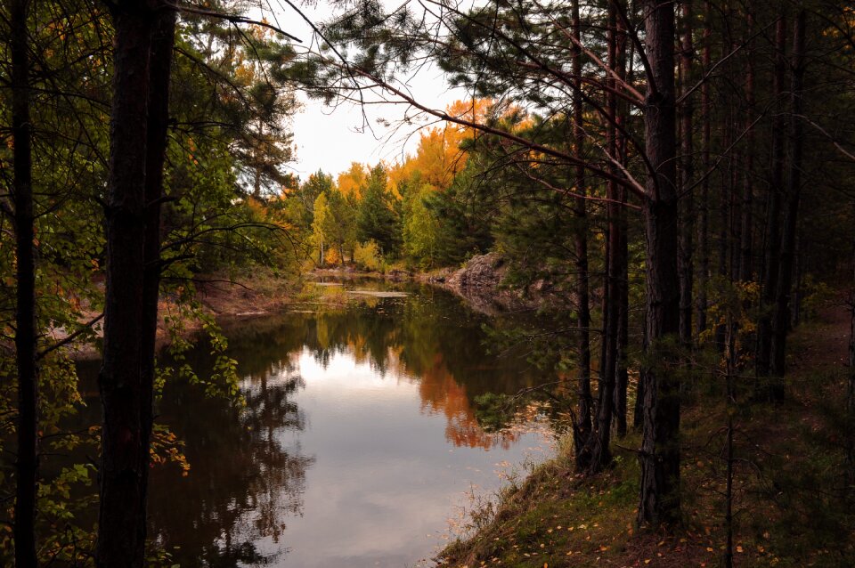 Nature creek lake photo