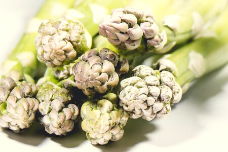 Asparagus vegetables Free photos