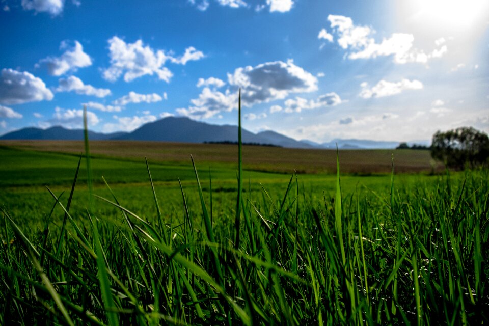 Green nature landscape