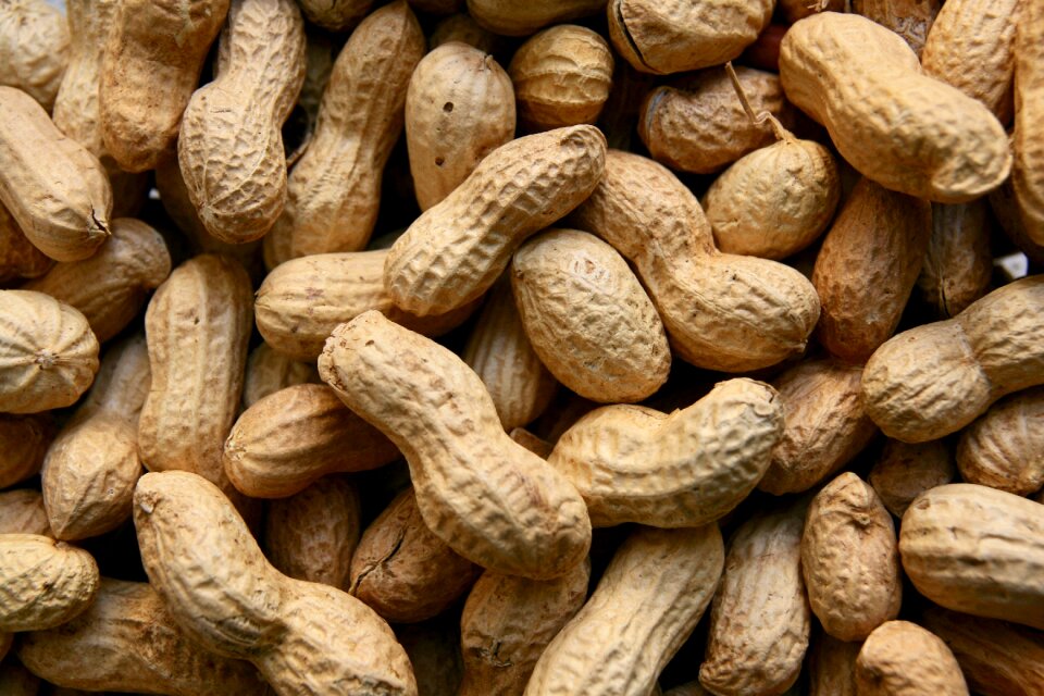 Peanuts nuts food