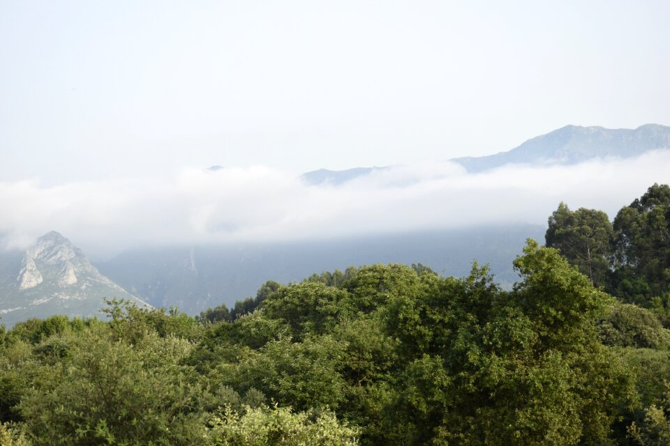 Fog landscape nature