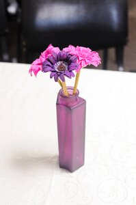 Pink decoration plastic