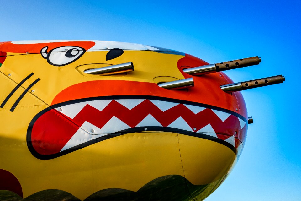 Fighter airplane aviation
