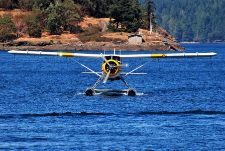 Pacific pilot nature