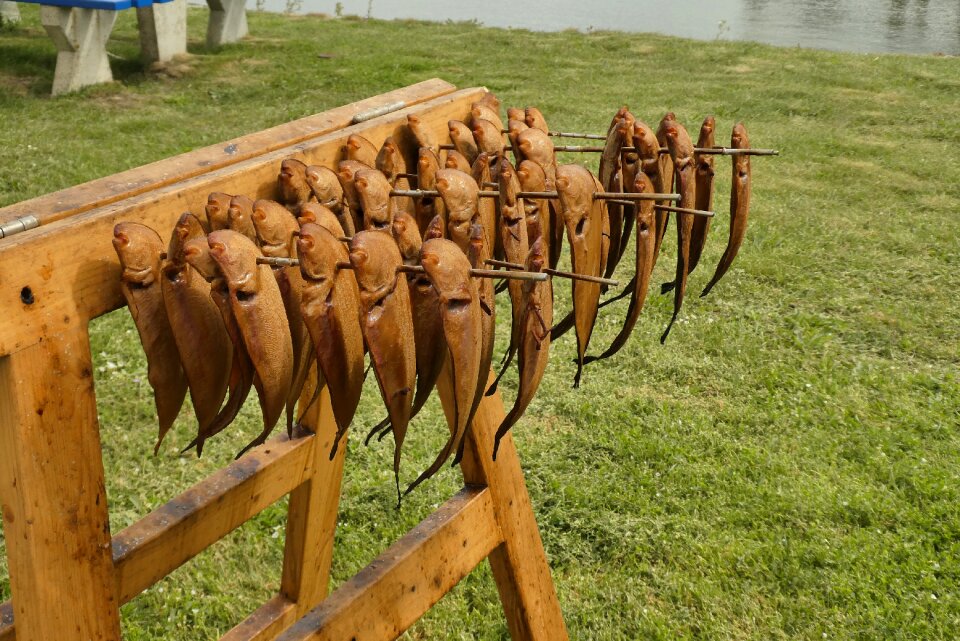 Food smoked fisheries