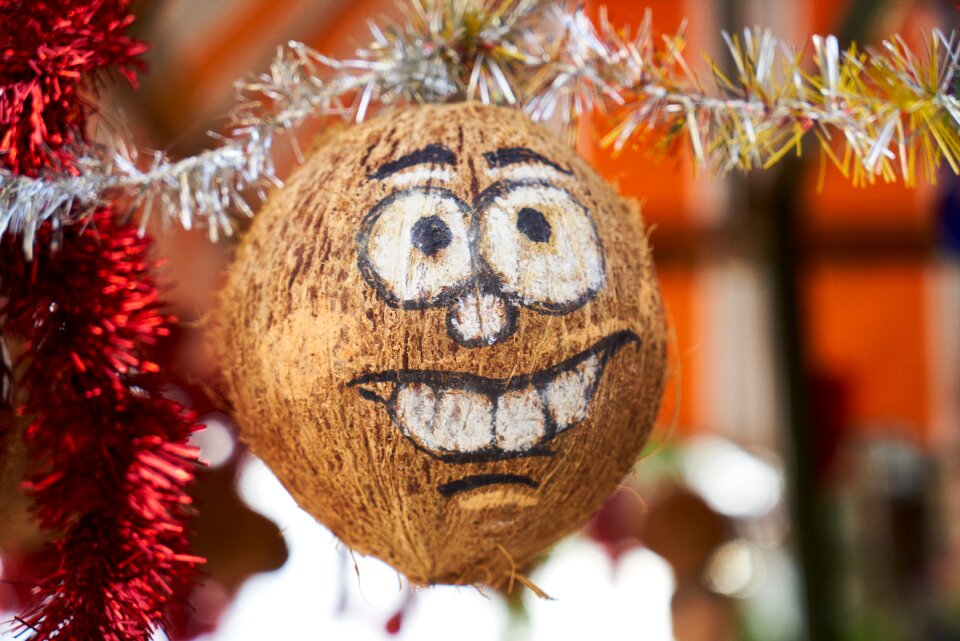 Decor decoration christmas