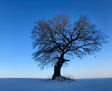 Landscape nature cold