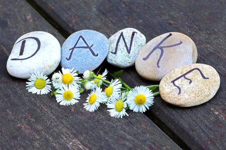 Pebbles gratitude flowers