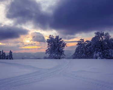 Snow winter evening