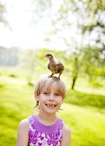 Hen mischievous childhood