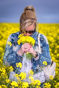 Hayfield outdoors summer