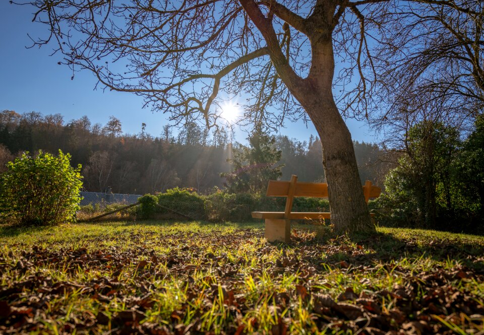 Rest landscape wood photo